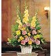 Sympathy/Funeral