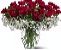 VALENTINE'S DAY ROSES AND FLOWERS