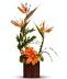 Orchids and Tropical Flowers