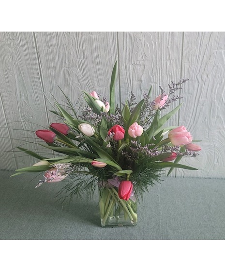 Blooming Tulips