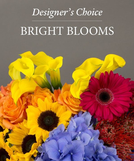 Designers Choice in Bright Blooms