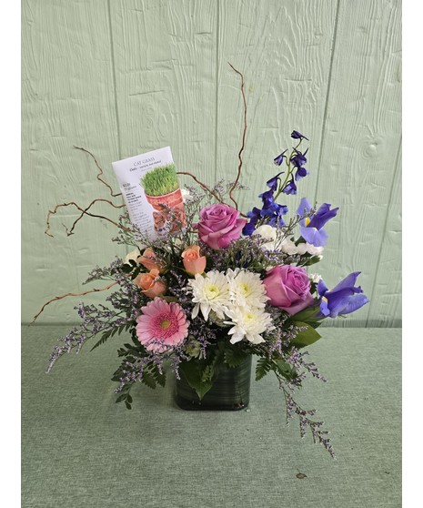 The Purrfect Cat Arrangement