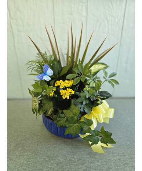 Ceramic/Basket  Dish Garden