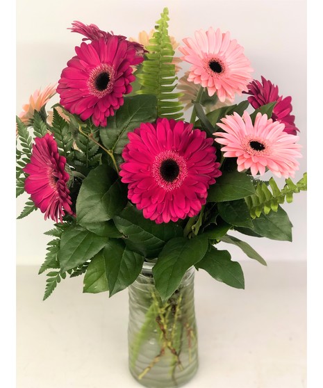 Gerbera Daisy Delight