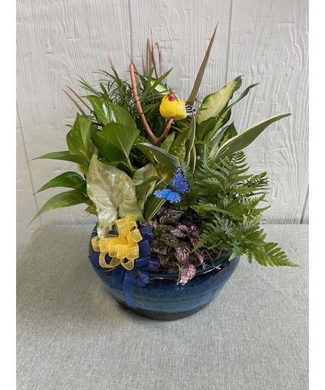 Plants
