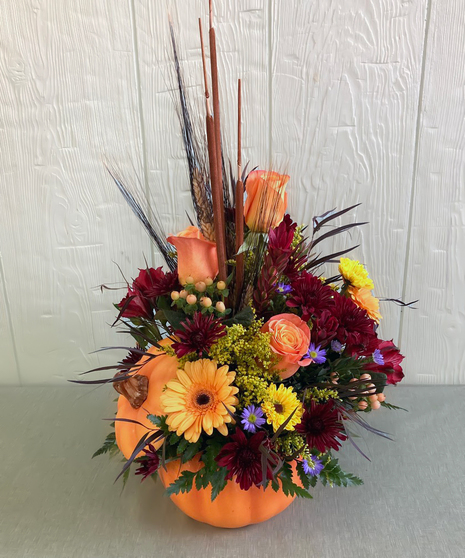 Autumn Gatherings