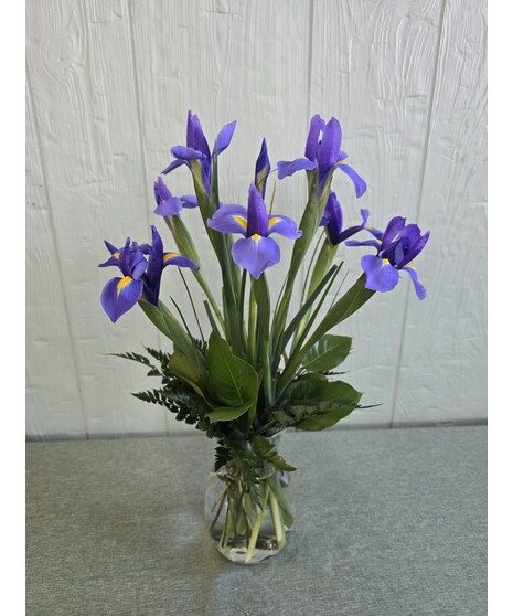 Stunning Designed Iris